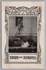 Stars And Stripes Humor Woman Fell Off Ladder Art Nouveau Border Postcard picture