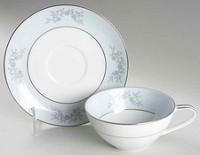 Noritake Blueridge Cup & Saucer 7036649 picture