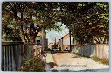 Nantucket, MA: Street Scene vintage Massachusetts Rotograph Postcard picture