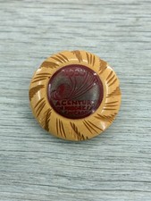 1933 A Century of Progress Chicago World's Fair Carved Button Looks Celluloid picture