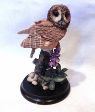 Country Artists Tawny Owl with Foxglove Figurine on Wood Base picture