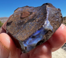 Australian Boulder Opal Rough 224ct Queensland Natural Untreated Lapidary Stone picture