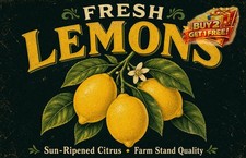 Fresh Lemon Yellow Fruit Tree Kitchen Garden Sign Retro Cafe Metal Tin Plaque picture