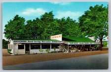 Ozark Trading Post Gateway Arkansas Roadside Store Glo-Var Chrome Postcard picture