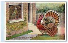 1908 Thanksgiving Turkey And Parrott In The Cage Embossed Franklin MA Postcard picture