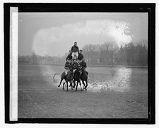 Photo:Fort Myer 1927 Military Pyramid on Horses picture