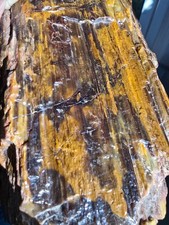 Stunning Crook County Oregon Petrified Wood – Hampton Butte Area – 3 lb 13.2 oz picture