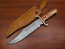 CUSTOM HAND FORGED DAMASCUS STEEL FIXED BLADE FULL TANG BOWIE HUNTING KNIFE picture