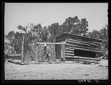 Pie Town New Mexico Mrs. George Hutton Feeding Chickens 1940 Farmyard picture