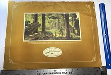 Remington Arms Co 1816-1966 150th Anniversary Advertising Book Firearm PRINTS picture