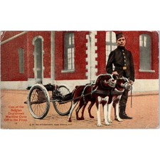 c1918 WWI Belgian Dog-Drawn Machine Gun Vintage Postcard PD9 picture