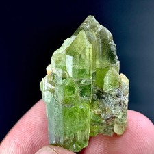 56 CT Terminated Natural Peridot Crystals Bunch SpecimenFrom Pakistan picture