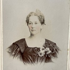 Antique Cabinet Card Photo Young Woman CR Rees Petersburg VA 1896 BEST CVD picture