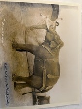 1928 Original Circus Photo Black Diamond Killer Elephant Al G. Barnes Circus picture