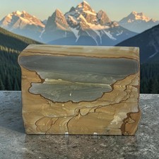 Cripple Creek Picture Jasper, landscape, slab, cabbing rough, #R-7150 picture