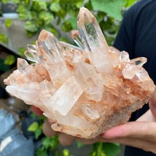960G A+++Large Natural clear white Crystal Himalayan quartz cluster /mineralsls picture