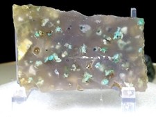 WOW GEM CHRYSOCOLLA/COPPER FLOATING IN AGATE STUNNING MATERIAL VERY RARE 7 OZ. picture