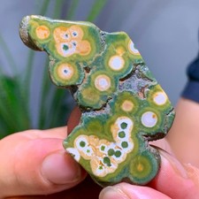 26G Natural Ocean Jasper Crystal SliceLarge Specimen Healing- Museum picture