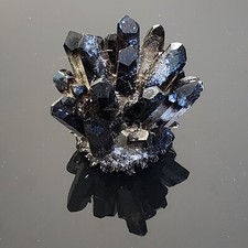 KCGS Natural Black Smokey Quartz Crystal Cactus Mineral Specimen Healing #0099 picture