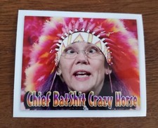 Elizabeth Warren Bumper Sticker Decal Made In USA 🇺🇸  picture