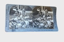 Antique Keystone Stereoview With Children Rabbits Puppies Early 1900s picture