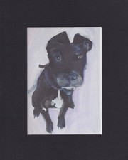 8X10 Matted Print Art Picture, Dog: Sally Muir, Toki picture