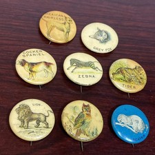 VTG Lot ANTIQUE 1890s Pepsin Gum Celluloid Animals Button Pins Whitehead & Hoag picture