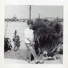 1965 Pretty Woman Big Beehive Bouffant Hair 1960s Photo Playful Puppy Dog Smile picture