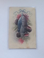 1909 Embossed Fish & Ribbon Postcard - Woonsocket RI to Newton MA picture