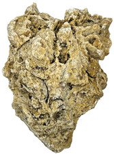 Medium Unidentified Fossil Specimen | RARE 3D Soft-Body Geometry | SEE VIDEO picture