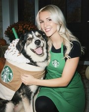 Authentic Starbucks Green Barista Apron Employee Uniform Halloween Costume  picture