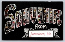 Souvenir From Jamestown VA Collage Postcard I. Stern Made in Germany 1907-1915 picture