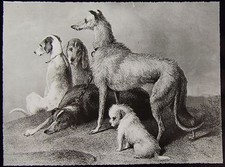 Glass Magic Lantern Slide WAITING C1900 ART LANDSEER picture