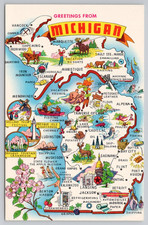 Greetings From Michigan Wolverine State Postcard #0869 picture