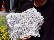 HUGE 8-LBS  CHALCOPYRITE QUARTZ PYRITE CRYSTAL QUARTZ picture