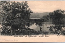 Winsted, Connecticut - Highland Lake & Sucker Brook Cove - Art Store Postcard picture