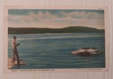 Vintage Postcard Yellowstone Lake Fishing Cone West Thumb Geyser Basin Wyoming picture