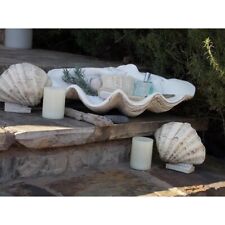 Large Clam Shell Decor Tray Display Seashell Beach Bowl Indoor Realistic Accent picture
