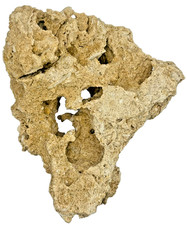 Medium Unidentified Fossil Specimen | RARE 3D Soft-Body Geometry | SEE VIDEO picture