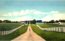 Glasgow KY Adairland Horse Farm Postcard picture