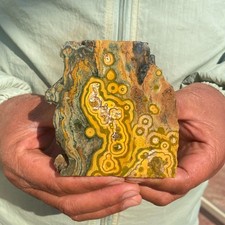 405g Rare Colourful Natural Ocean Jasper Rough Crystal Mineral Specimen Healing picture