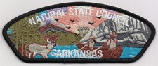 CSP - NATURAL STATE COUNCIL - S-XX (NEW COUNCIL) - BLK BORDER picture