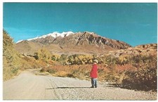 Boy on Road, Alps/Alpine Scenic Loop Mt. Timpanogos Utah c1960's Unused Postcard picture
