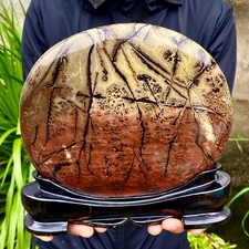 5LB Beautiful Natural Chinese Dendritic Limestone Picture Stone Guohua-Rare picture