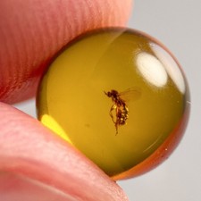 FLY SPHERE 8mm bead Burmese / Burmite amber fossil bead / 100% genuine picture