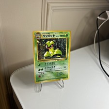 Victreebel No. 071 Jungle (Japanese) Holo Vintage Old Back Pokemon Card SWIRL NM picture