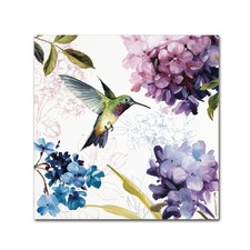 Trademark Fine Art Spring Nectar Square II Wall Decor by Lisa Audit 14x14 picture