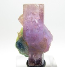 ULTRA ELEGANT RARE GEM CLEAR FLUORAPATITE/ TOURMALINE CRYSTAL AFGHANISTAN  picture