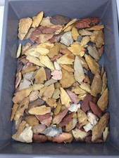 Five 5 Authentic Ancient Indian Arrowheads 