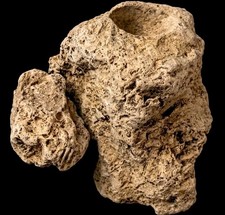 Vintage Native Raw Tufa / Coquina Stone Artifact - Smudging Bowl, Aquarium, picture